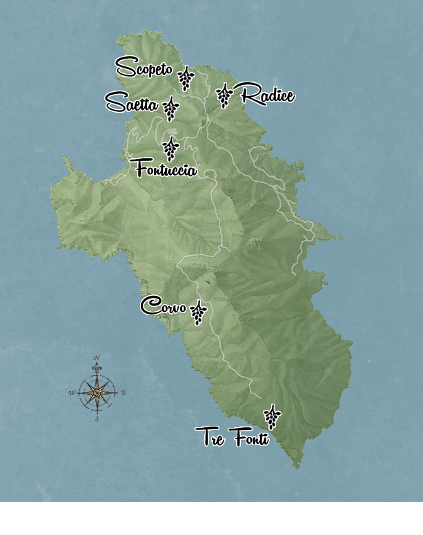 Mappa delle Vigna nell'Isola del Giglio